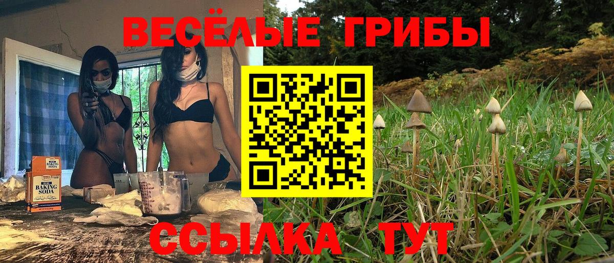 Псилоцибиновые грибы ЛСД  Вход с VPN  Солнечногорск 
