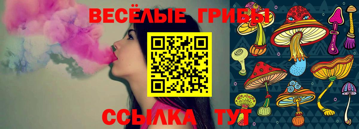 Псилоцибиновые грибы ЛСД Солнечногорск